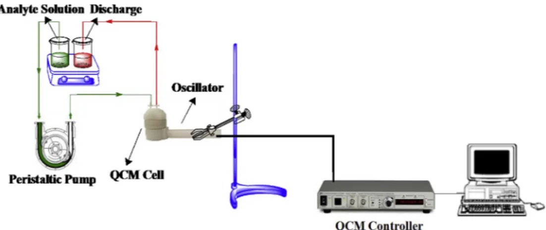 Fig. 3. Representation of QCM sensing system.