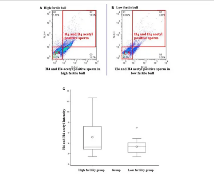 FIGURE 3 | Flow cytometric measurements of sperm H4 and H4 acetyl. Differences of the H4 levels in sperm from HF and LF groups are uncovered