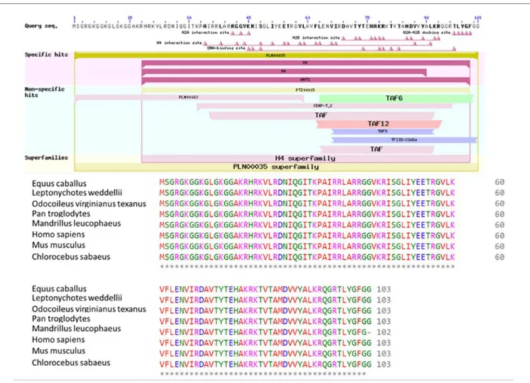 FIGURE 6 | Conserved domains on H4 [Bos taurus], and multiple sequence alignment of H4 using Bos taurus as a query sequence