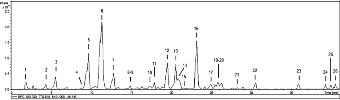 Fig. 1. HPLC-ESI-MS n base peak chromatograms (BPC) of the methanolic extract of P. latifolia.