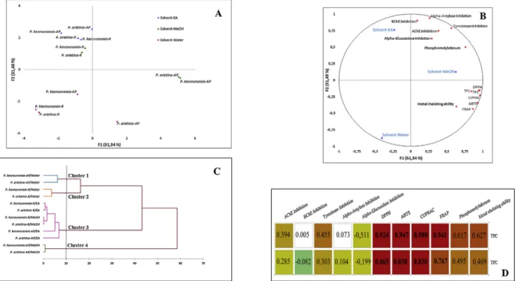 Fig. 8. Statistical evaluations (A&amp;B: Distribution of Paeonia extracts on the factorial plan and representation of biological activities on the correlation circle based on PCA;