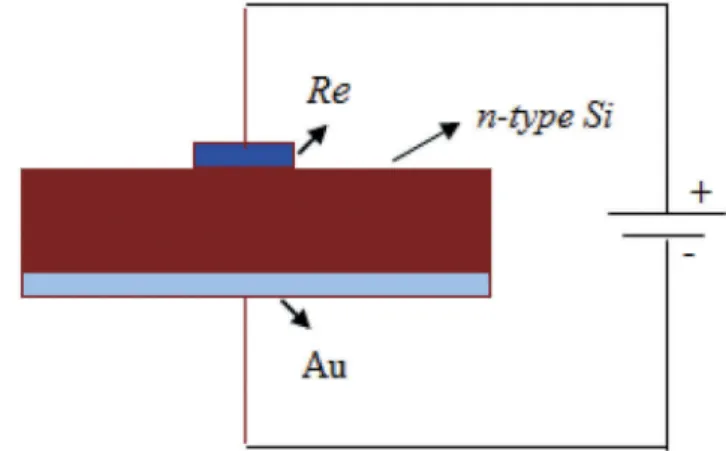 Figure 2. Cross-sectional schematic diagram of Re/ n-type Si Schottky barrier diode.