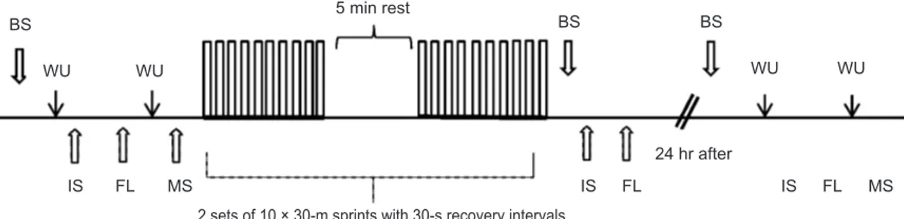 Fig. 1.  A schematic representation of the study protocol. BS = Blood sampling, WU= Warming up, IS= Isometric strength,  FL = Flexibility, MS= 30 m maximal sprint