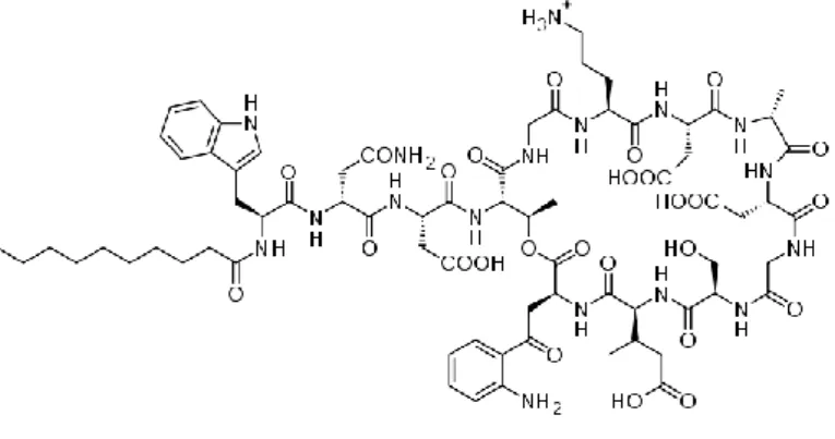Figure 1. Structure of daptomycin. 