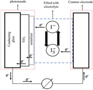 Fig. 1. This figure shows the illustration n of SSC. 