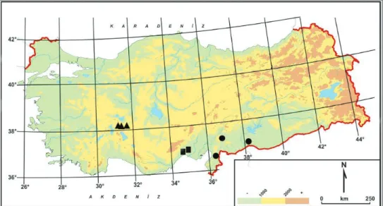 Figure 1. Distribution map of Linum aksehirense (triangle), and closely related Linum pubescens (circle)  and Linum anisocalyx (square) in Turkey.