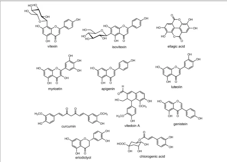 FIGURE 2 | Chemical structures of some of the relevant natural products discussed in the context of cataract treatment.