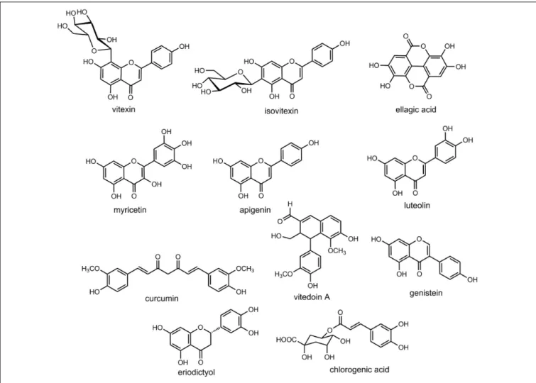 FIGURE 2 | Chemical structures of some of the relevant natural products discussed in the context of cataract treatment.