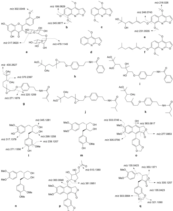 Figure 2. Possible chemical structures of compounds tentatively identified in the flower, root, and stem extracts of H