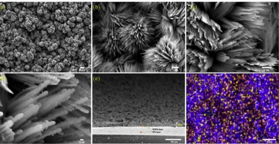 Fig. 1f shows the result of EDS mapping the NiWO 4 nanostructures. The presence of all three elements, W, Ni and O, in the nanostructures  in-dicates the composition purity of the synthesised product
