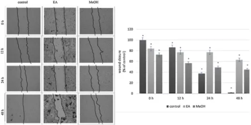 Fig. 7. Effects of L. corniculatus extracts on cell migration ability of MCF-7 breast cancer cells