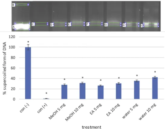 Fig. 1. DNA protection effect of EA, MeOH and water extracts of L. corniculatus on pUC19 plasmid and gel analysis