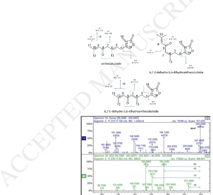 Figure 3. Proposed fragmentation schemes for anthecotuloide, 6,7 Z-dehydroanthecotuloide and 6,7 E-dehydroanthecotuloide