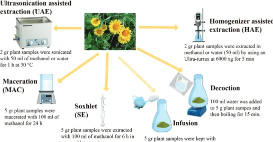 Figure 1. The extraction methods performed in the present study.
