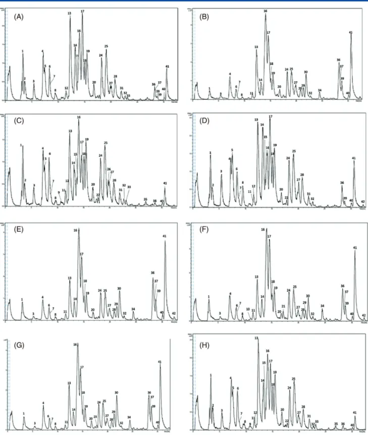 Figure 3. Base peak chromatograms of the tested extracts. (A) Decoction; (B) homogenizer-assisted extraction (HAE)–methanol; (C) HAE–water; (D) infusion; (E) maceration–methanol; (F) Soxhlet extraction-methanol; (G) ultrasound-assisted extraction (UAE)–met