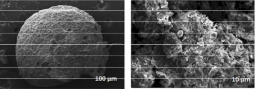 Fig. 3. SEM images showing the surface morphologies of the Cts-MWCNT beads. 
