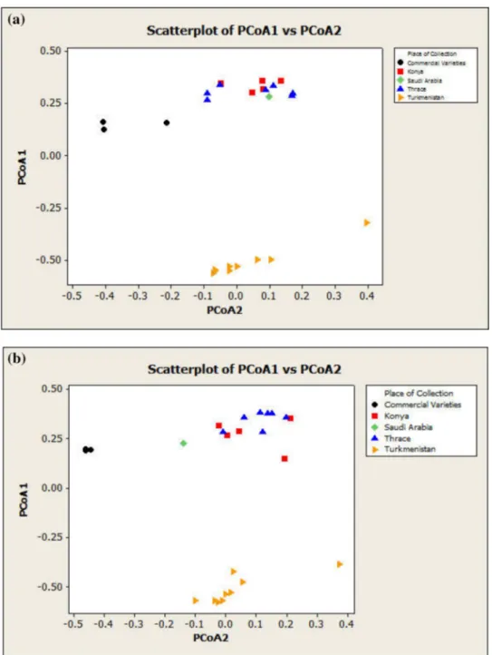 Fig. 3    Scatterplots obtained  from combined RAPD and  ISSR analyses. a Individual  sampling and b Bulk sampling