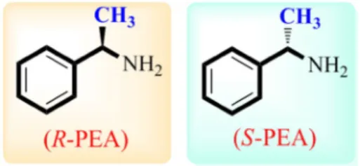 Fig. 1    Investigated 1-phenylethylamines
