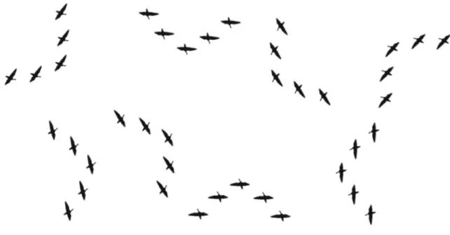 Fig. 3 Multi-flocks