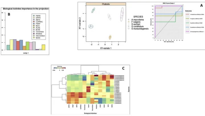 Fig. 2. (A: Factorial plan 1–2 of the sPLS-DA results obtained from biologicals activities of five extracts