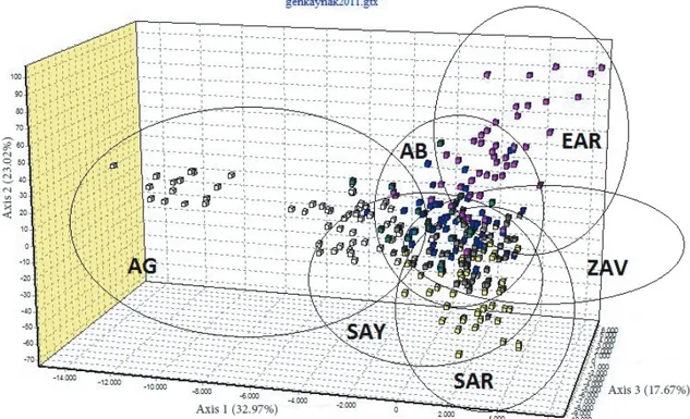 Figure 3. Structure test (K = 4) of SAR, AB, AG, SAY, EAR, and ZAV populations.