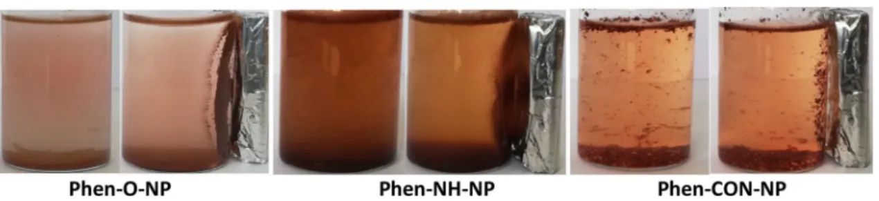Figure 8 shows magnetic dispersions of magnetic nano- nano-particle samples in ethanol–water mixture