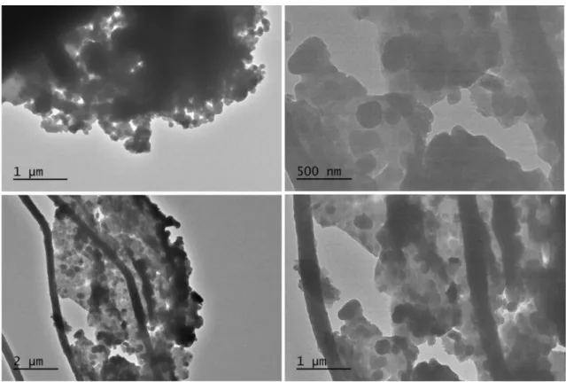 Fig. 10    TEM images of a Phen-NH-NP and b Phen-O-NP silica coated magnetic nanoparticles