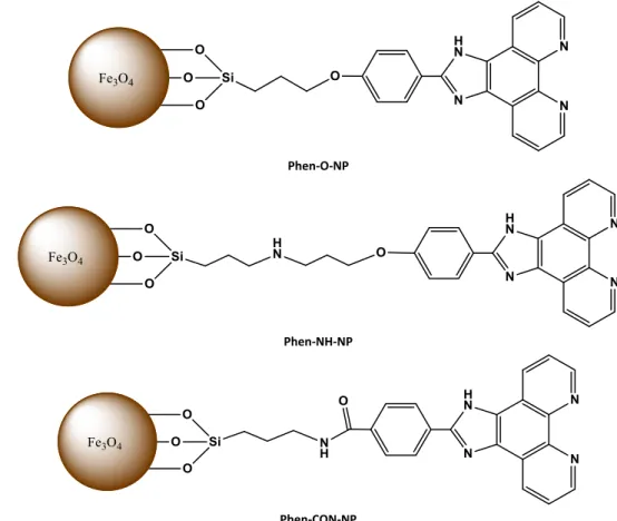 Fig. 3    Phenanthrimidazole- Phenanthrimidazole-derivated nanoparticles,  Phen-O-NP, Phen-NH-NP and  Phen-CON-NP