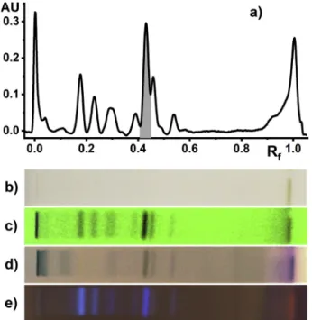 Fig. 4. Calibration curve established with the 20E standard.