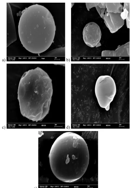 Figure 1. Scanning electron micrographs of free collagen hydrolysate and encapsulated  collagen hydrolysates