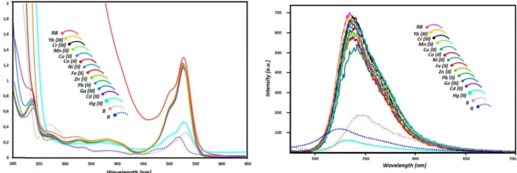Fig. 1. The absorption spectra of B, R and RB in the absence and presence of different metal ions (Yb (III), Cr (III), Co (II), Zn (II), Mn (II), Cu (II), Ni (II), Fe (II), Pb (II), Ga (III), Hg (II), Cd (II), (20 equiv.)) (1 × 10 −6 M in acetonitrile/H 2 