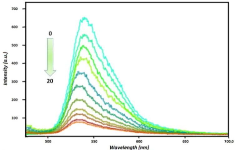 Fig. 4. (a) and (b) Hg (II)-induced FRET ON →OFF process of RB along with visual color changes upon irradiation at 365 nm and daylight (pink bottles: RB and RB +other ions)