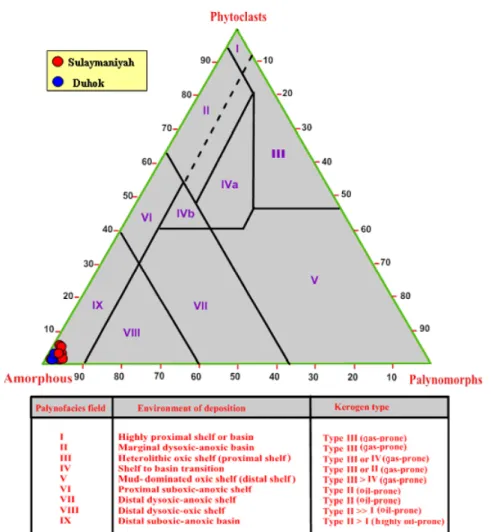 Fig. 5. APP ternary diagram for samples from wells Bj-1 and Jk-1 in Duhok (Banic  area) and Sulaymaniyah (Sargelu area) provinces [6]