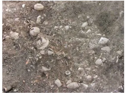 Figür 5: Kaunos Demeter kutsal  alanından minyatür hydriai