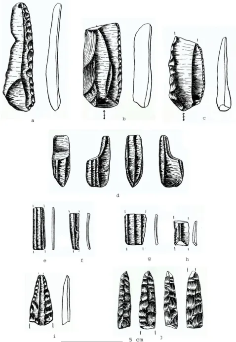 Figür 3: Akkise/Yahyalı Höyük’te ele geçen yontma taş alet parçaları 