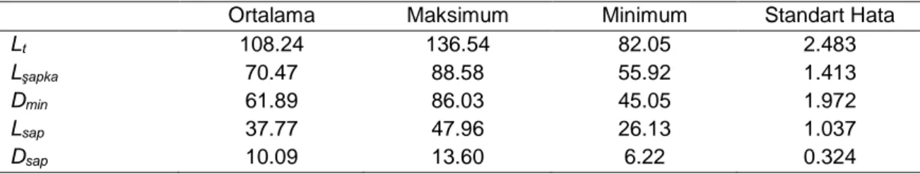 Tablo 1. İstiridye mantarı örneklerinin boyut özelliklerine ait, minimum, maksimum ve ortalama değerler (mm) ile standart  hata değerleri 