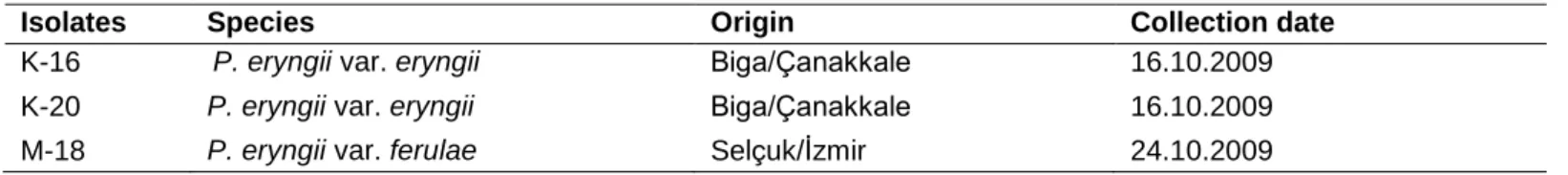 Table 1. Origins of P. eryngii isolates 