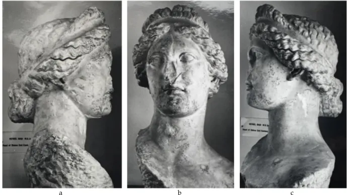 Figür 21a-c: Herakleia Pontika başının farklı açılardan görünümü 
