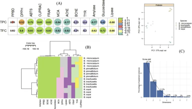 Fig. 1. Statistical evaluations (A: Correlation coefficients between total bioactive compounds and biological activities (Pearson Correlation Coefficient (R).