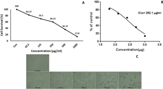 Fig. 4. MTT analysis results (A), IC 50 calculation (B) and Cells morphology (C) of HeLa cells which were treated with stem bark extracts of C