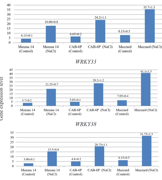 Figure 1. Expression levels of WRKY genes: WRKY25 (A), WRKY33 (B) and WRKY38 (C). The values and  standard errors are written on the columns.