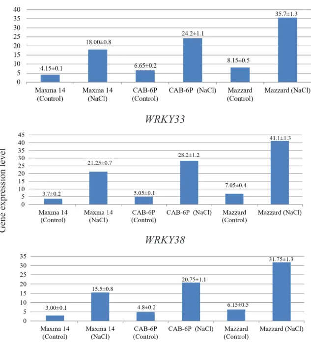 Figure 1. Expression levels of WRKY genes: WRKY25 (A), WRKY33 (B) and WRKY38 (C). The values and  standard errors are written on the columns.