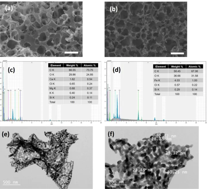 Figure 3. SEM images of (a) AC and (b) α -Fe 2 O 3 /AC composite (scale bar = 5 µm); EDX spectra of (c) AC and (d) α -Fe 2 O 3 /AC composite, and TEM images (e and f) of α -Fe 2 O 3 /AC composite.