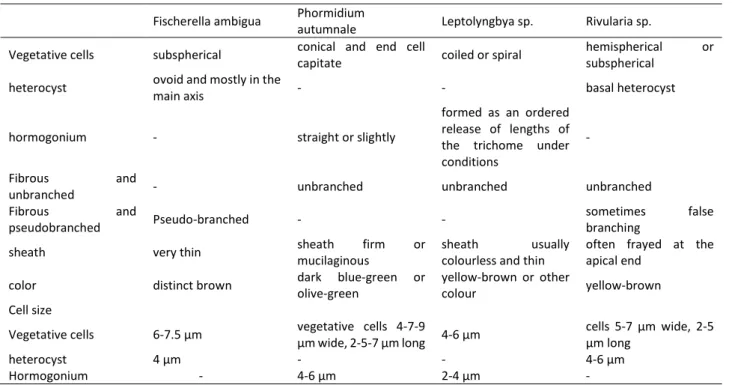 Table 3. Morphological characteristics of the cyanobacteria isolated from various habitats of lakes in Turkey 