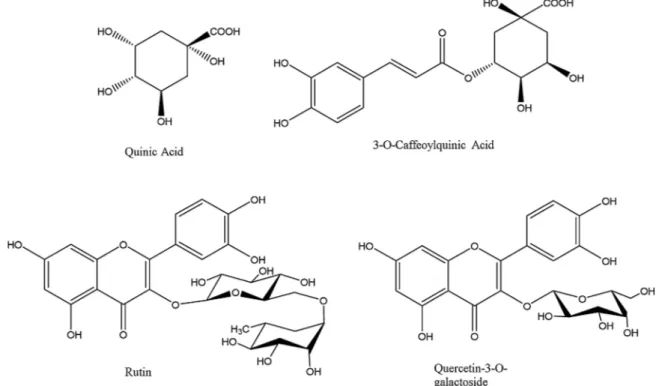 Fig. 2. Total bioactive compounds of H. lanuginosum extracts. (Values expressed are means ± S.D