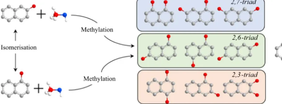 Fig. 1   Possible reaction pathways for the methylation of 2-MN