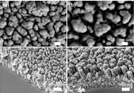 Figure 4. Surface morphologies of the hematite films deposited under (a) parallel field and (b) perpendicular field with deposition time of 5 min