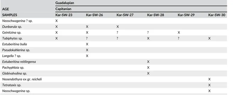 TABLE 8 Distribution of benthic foraminifera in the Karincali-Southwest section