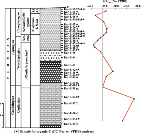 FIGURE 12 Detailed log of the upper part of the Karincali-East section with a plot of δ 13 C org ( ‰ vs VPDB) values