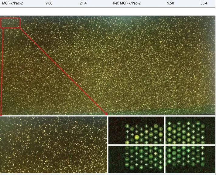 Fig. 3.  Representative microarray scan photo and quality check of array corners (MCF-7/Pac).